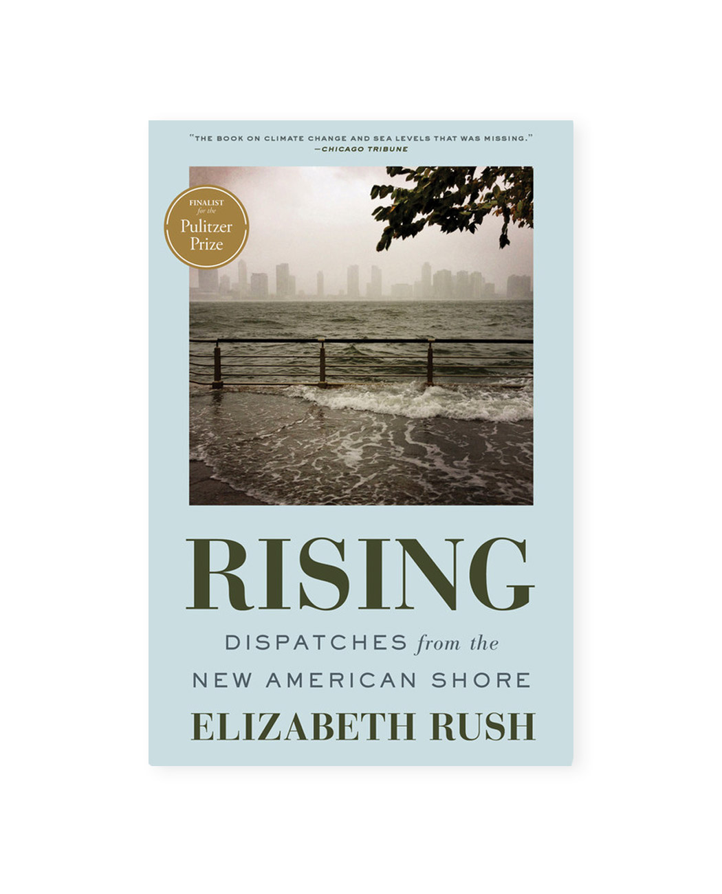 Rising Poetry Book